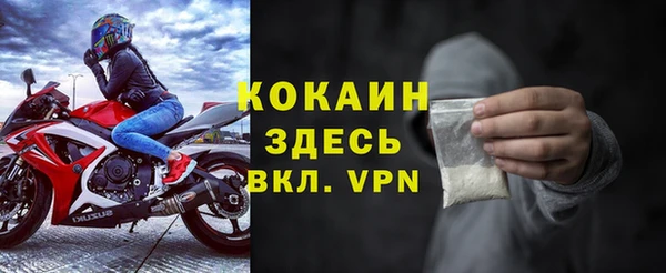 стаф Абинск