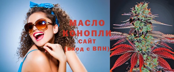 индика Абдулино