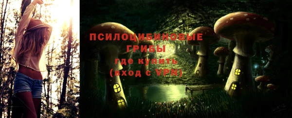 индика Абдулино